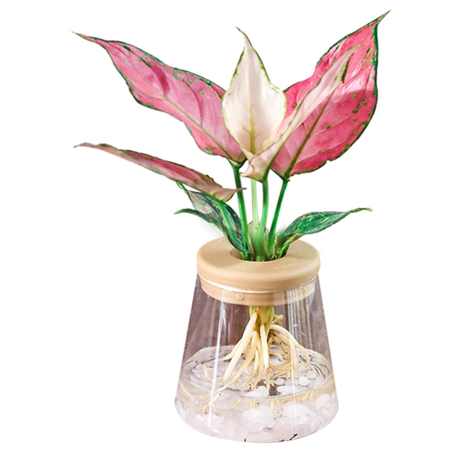 Home Decor™ | Hydroponischer Blumentopf