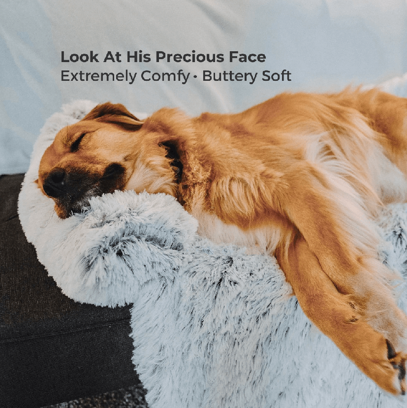 Purrfect™ | Beruhigende Couchdecke