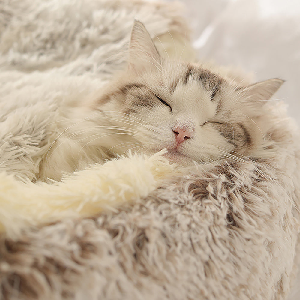 Pet Ventura™ - Fluffy Pet Bed