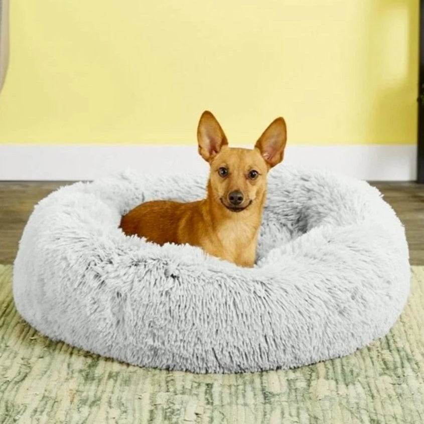 Pet Ventura™ | Donut-Bett für Haustiere